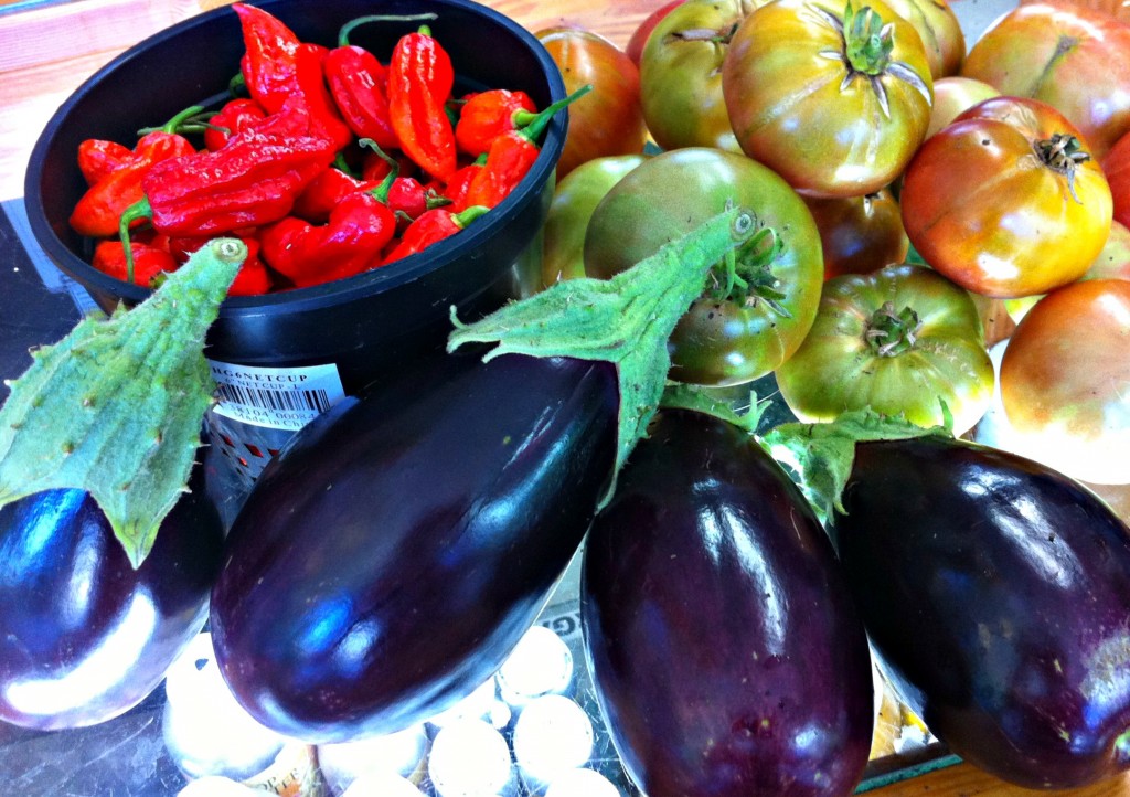 تعرفي على فوائد الباذنجان التي لا تعرفيها